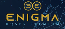 enigma roses